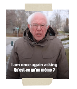 mème de Bernie Sanders posant la question What's a meme